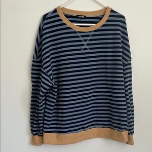 Striped Blue and Tan Sweater